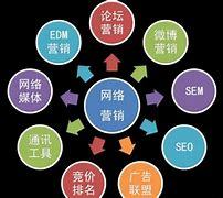 網絡營銷模式推廣與應用 信息時代的銷售新引擎